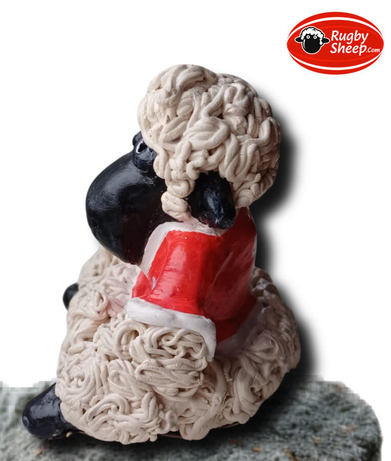 Rugby Sheep left Rugby Sheep left