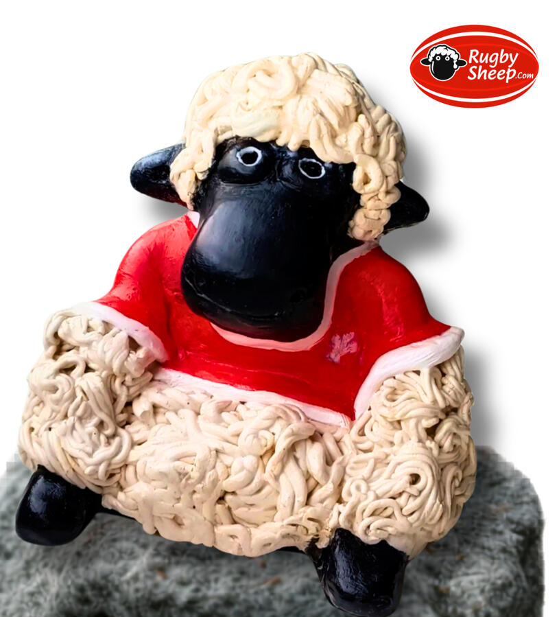 Welsh Team Sheep - Front